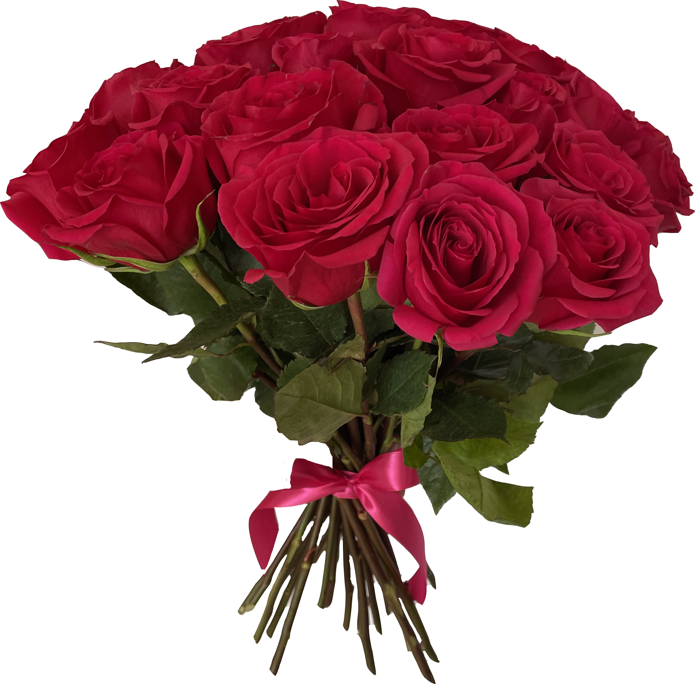 Букет из 25 Бордовых Эквадорских роз 40-50см