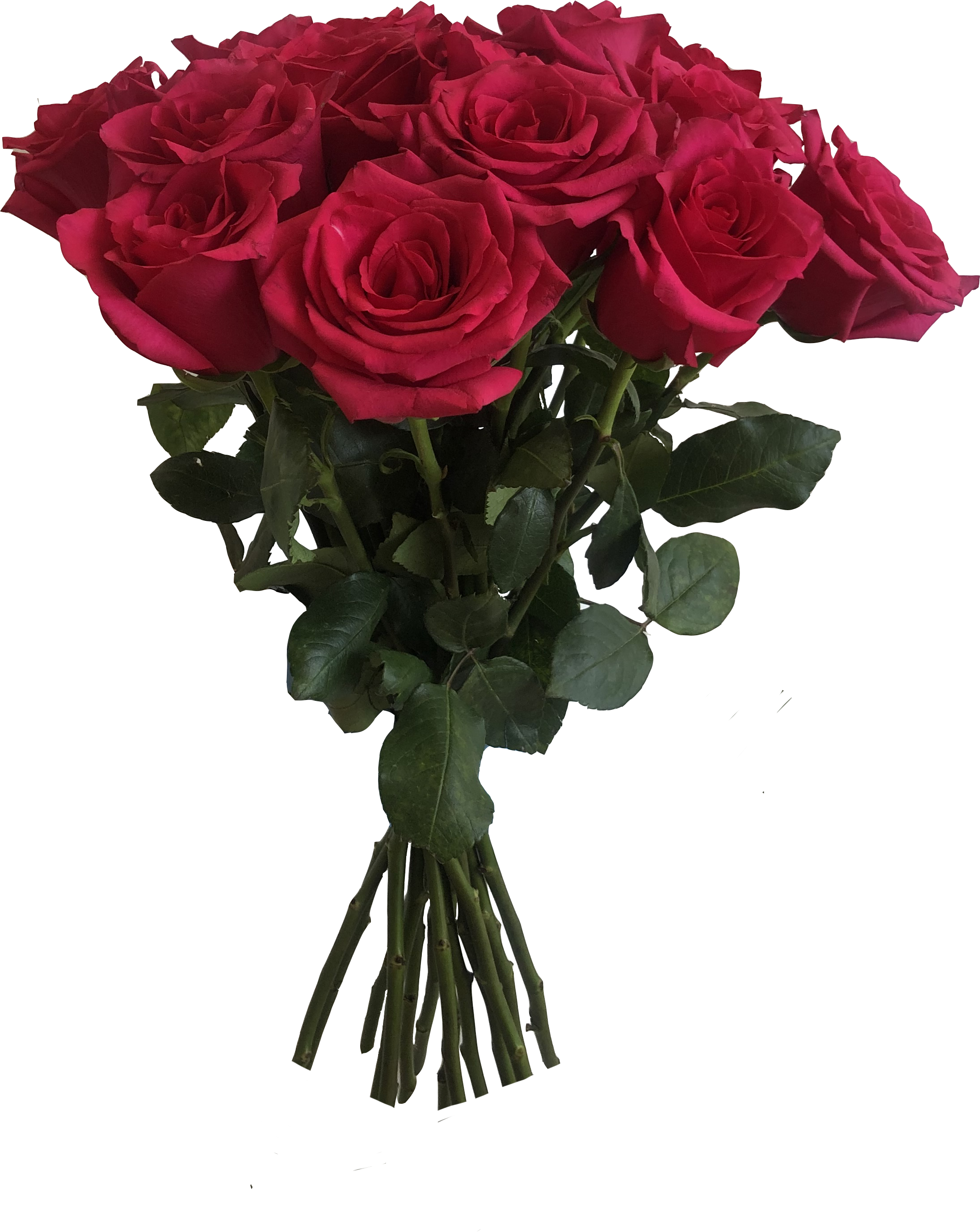 Букет из 15 Эквадорских роз в ассортименте 40-50см