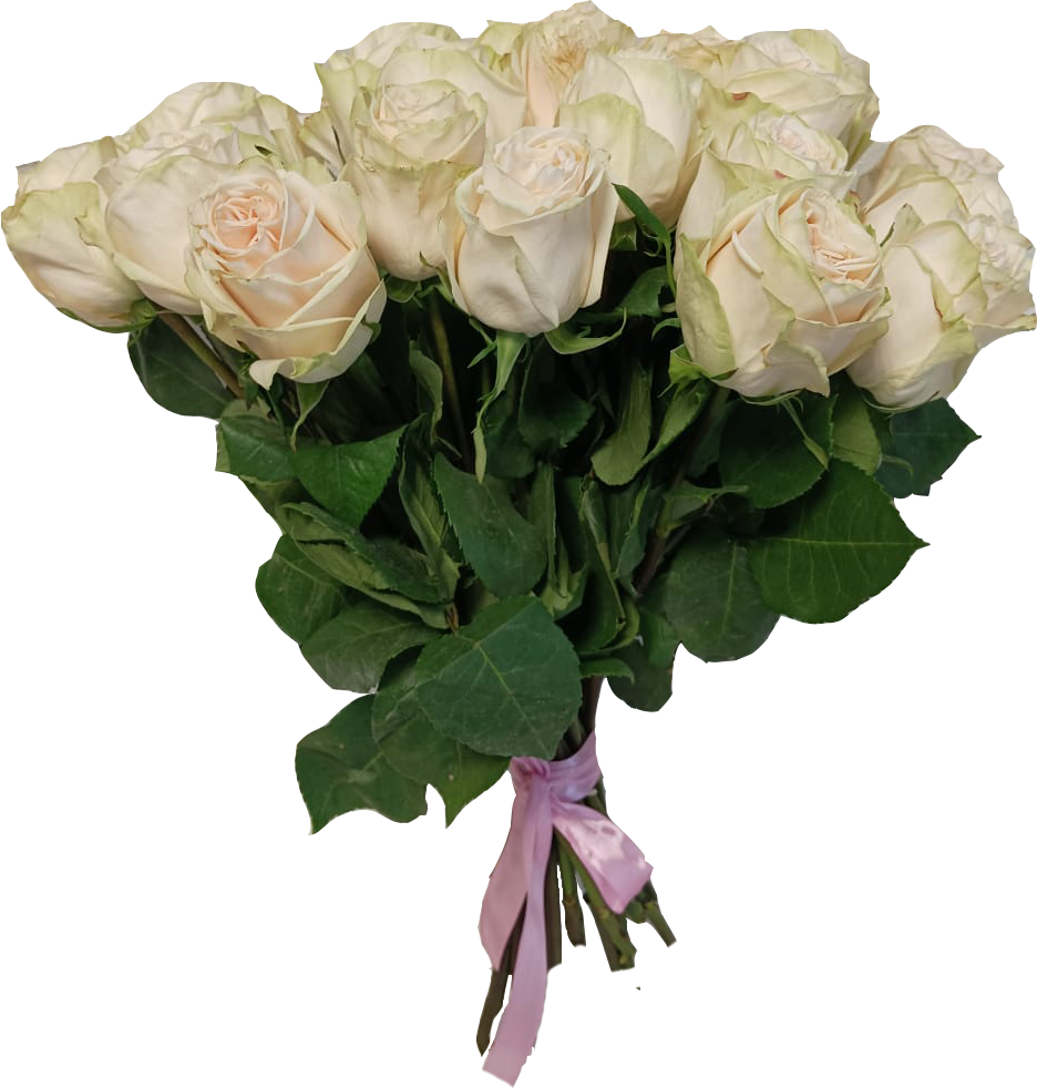 Пионовидная роза  Эквадор GARDEN SPIRIT 40см