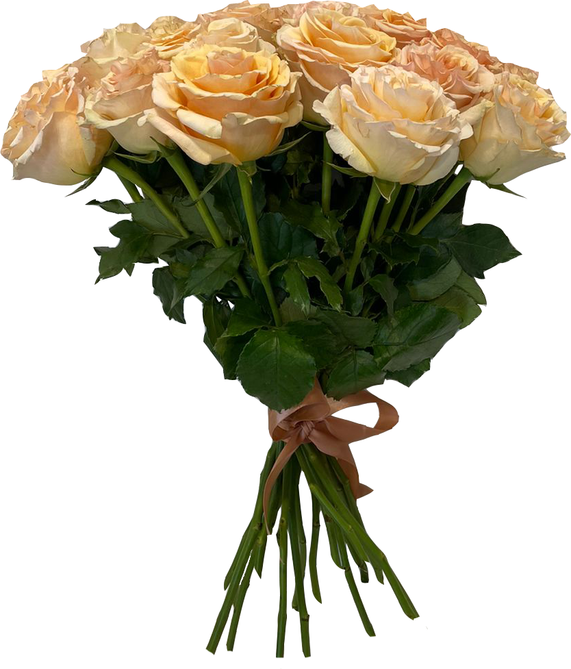 Пионовидная роза Эквадор GHOBI 40-50см