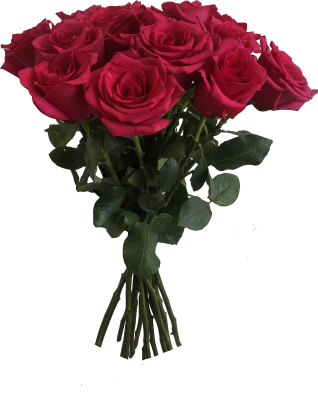 Букет из 15 Эквадорских роз в ассортименте 40-50см