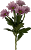 Хризантема кустовая Мемфис розовая