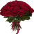 Букет из 51 Бордовой Эквадорской розы 40- 50см