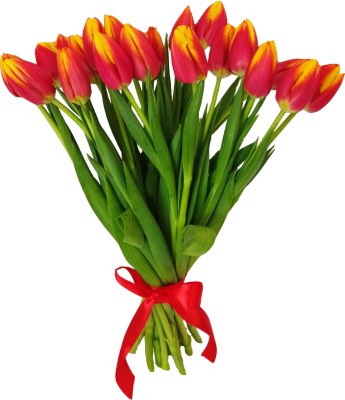 Букет из 25 тюльпанов одного цвета (цвет в ассортименте!)