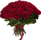 Эквадорские Розы