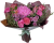 Букет цветов "Гранатовый браслет"