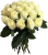 Букет из 25 Эквадорских роз в ассортименте 40-50см
