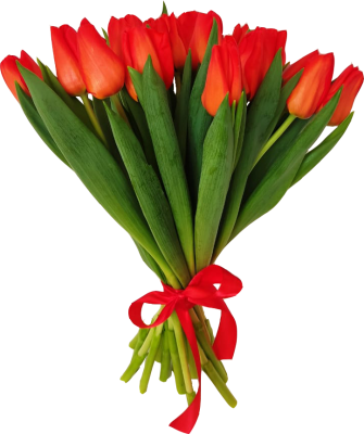 Букет из 25 тюльпанов одного цвета (цвет в ассортименте!)