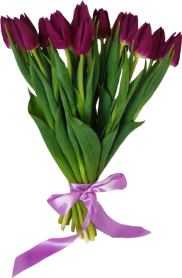 Букет из 15 тюльпанов одного цвета (цвет в ассортименте!)